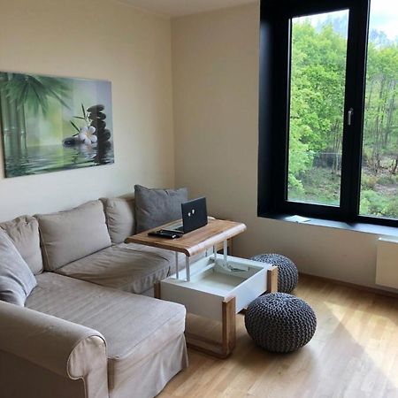 Triplex Residence, Lux-Appartment In The Central Part Karlsbad Eksteriør billede