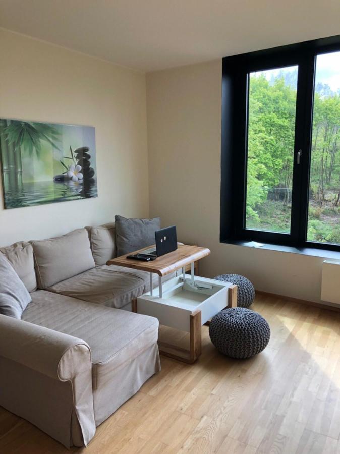 Triplex Residence, Lux-Appartment In The Central Part Karlsbad Eksteriør billede